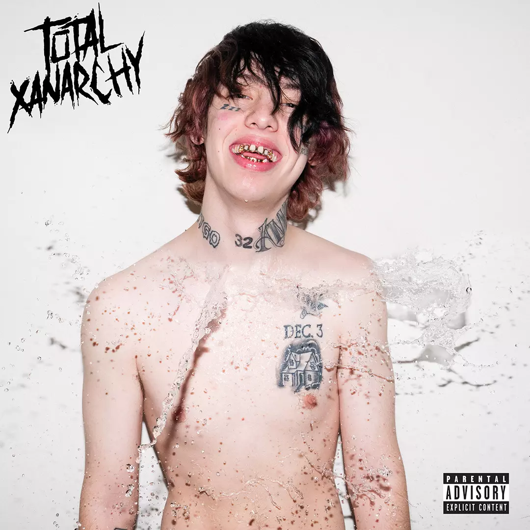 Image result for lil xan album cover