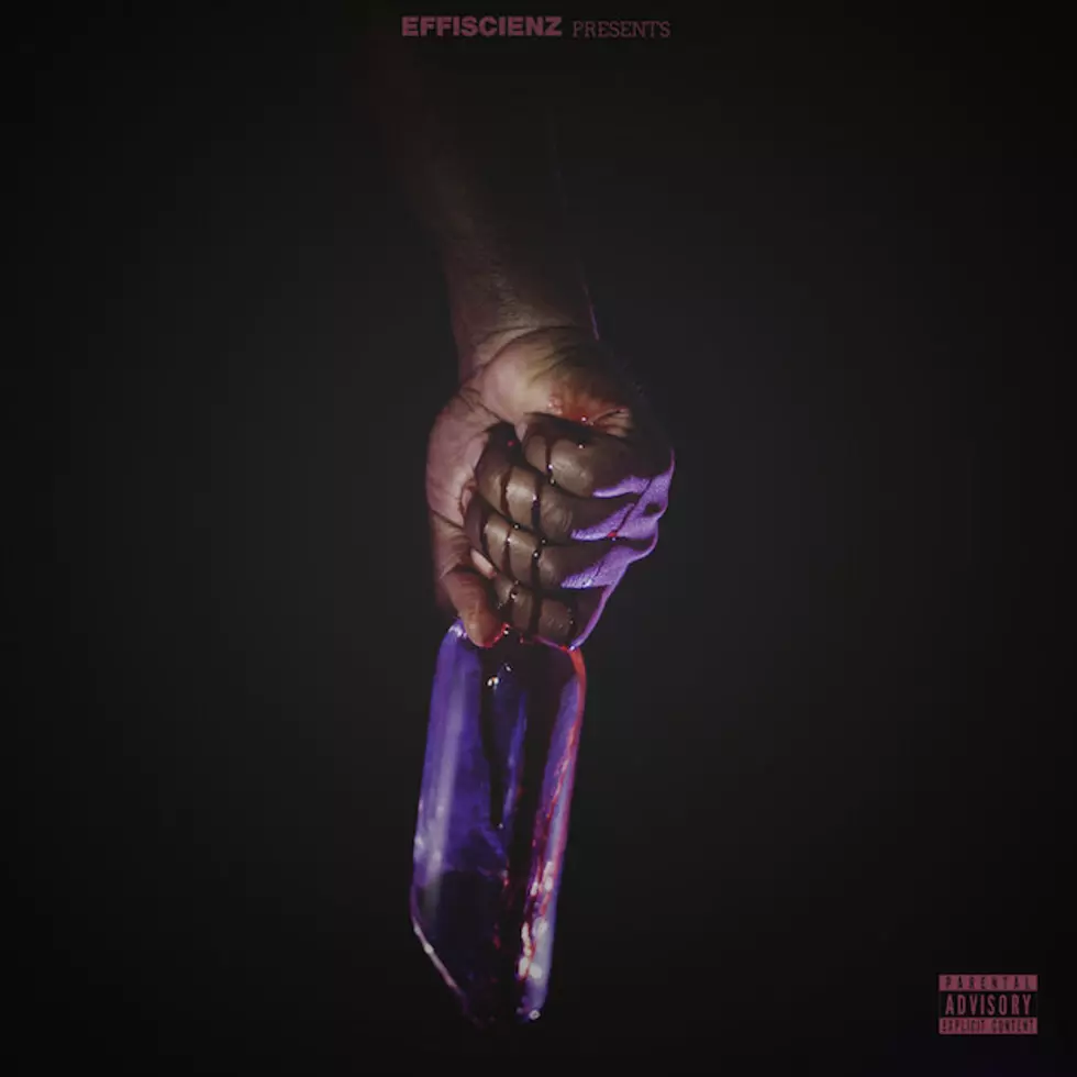 Westside Gunn Drops ‘Riots on Fashion Avenue’ Album