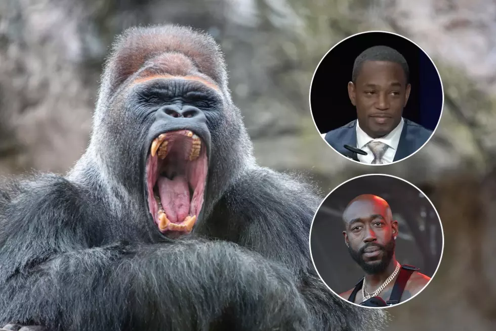 Rappers Weigh In on the Raging 100 Men vs a Gorilla Debate